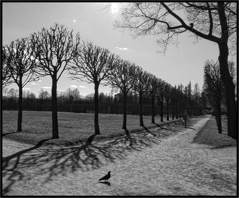 , Лунный Ежик