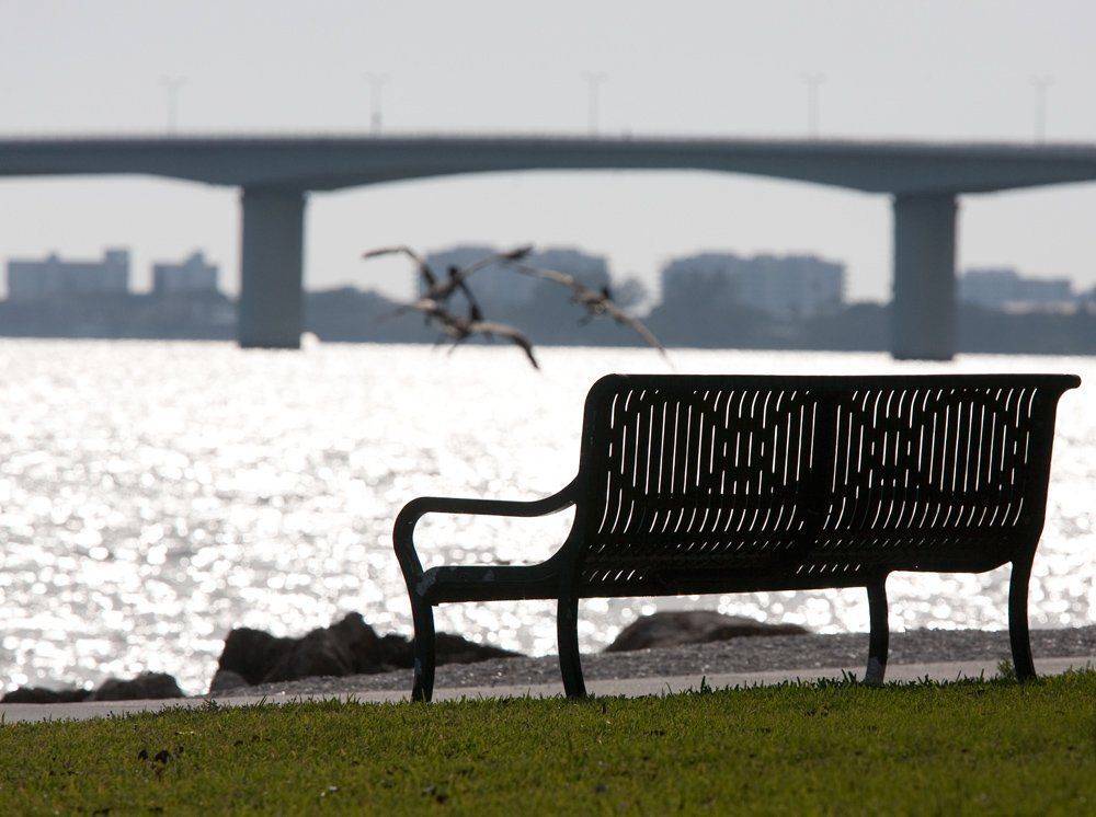 , Николай Шелепов