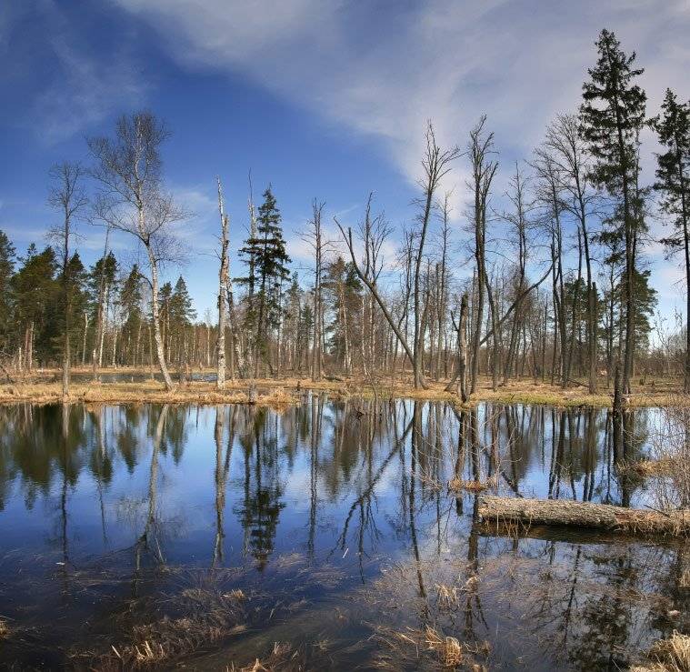 , Эдуард VTORNIK  Николаев