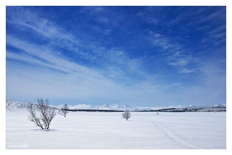 камчатка, юг, весна Весенний минимализм фото превью
