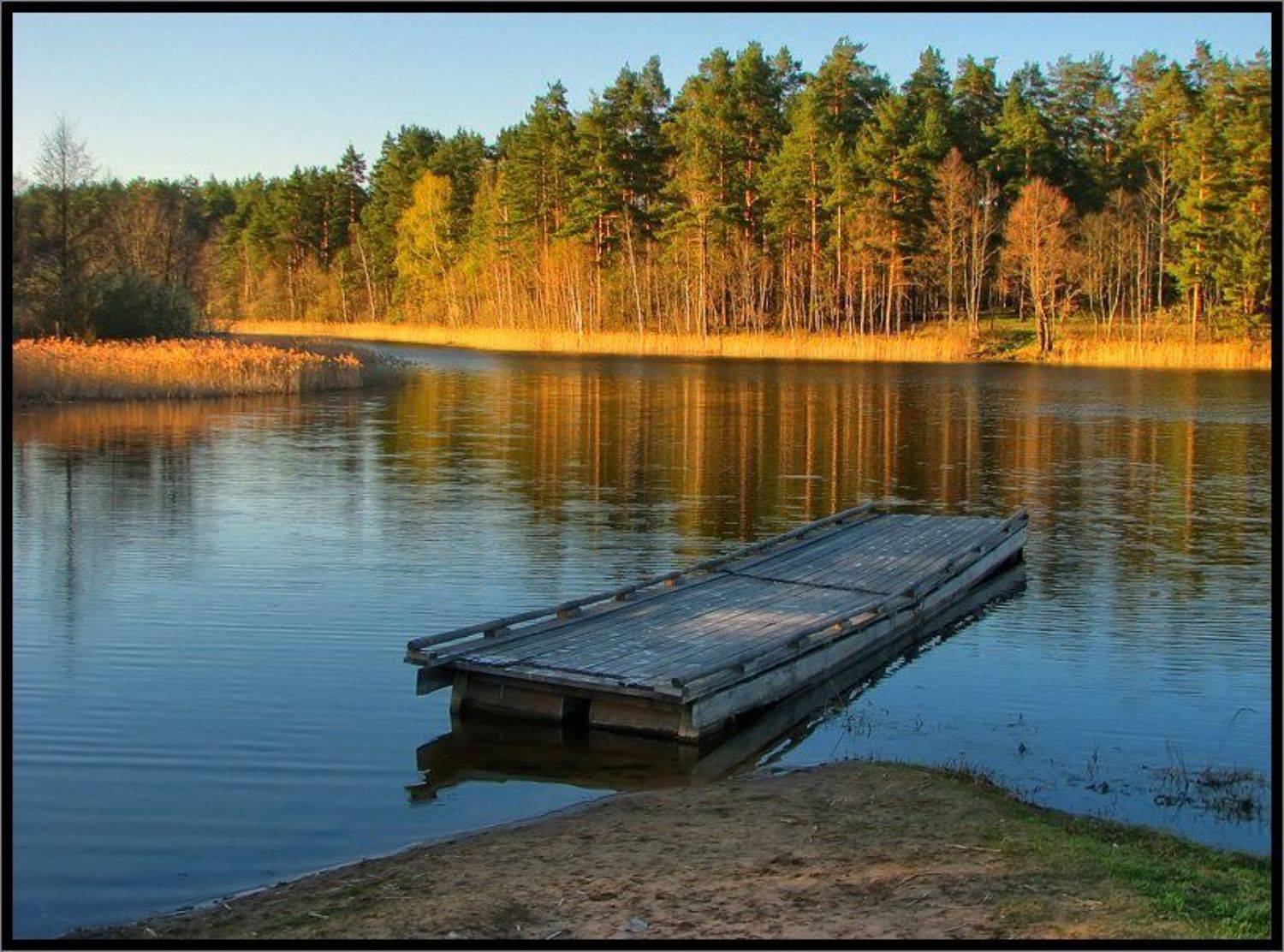 , Лунный Ежик