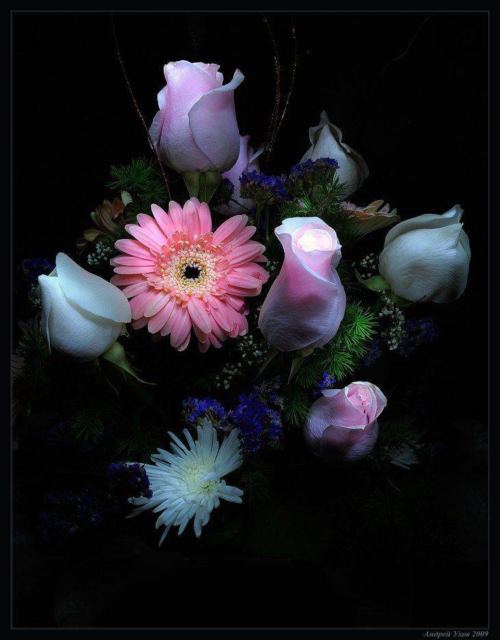 , Андрей Ухов