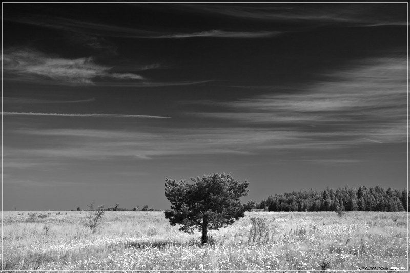 Синее небо фото превью