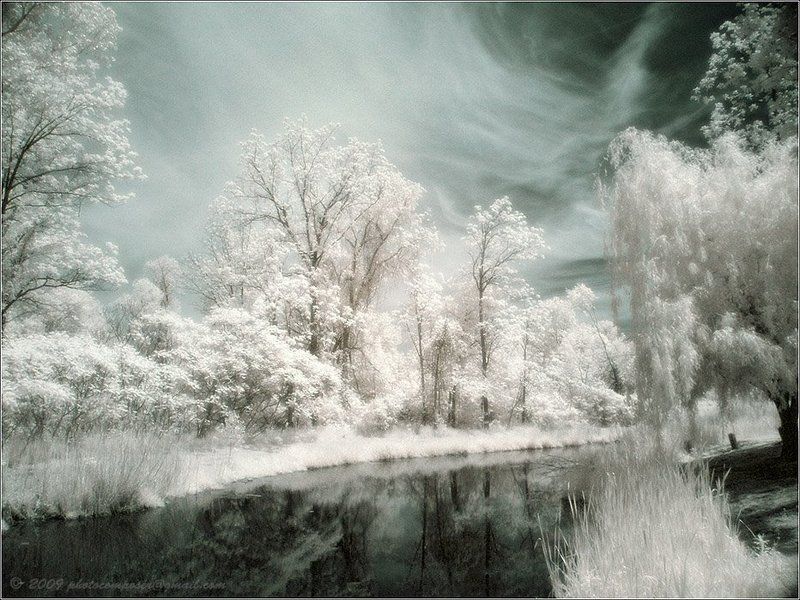 Spring in white фото превью