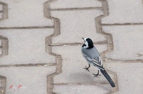 я обиделась