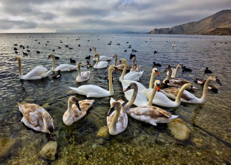 зимовка фото превью