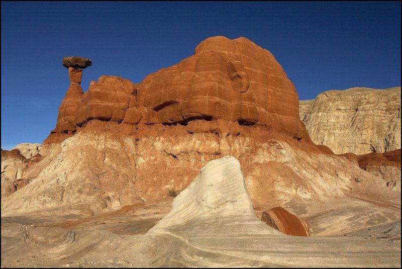 Camel фото превью