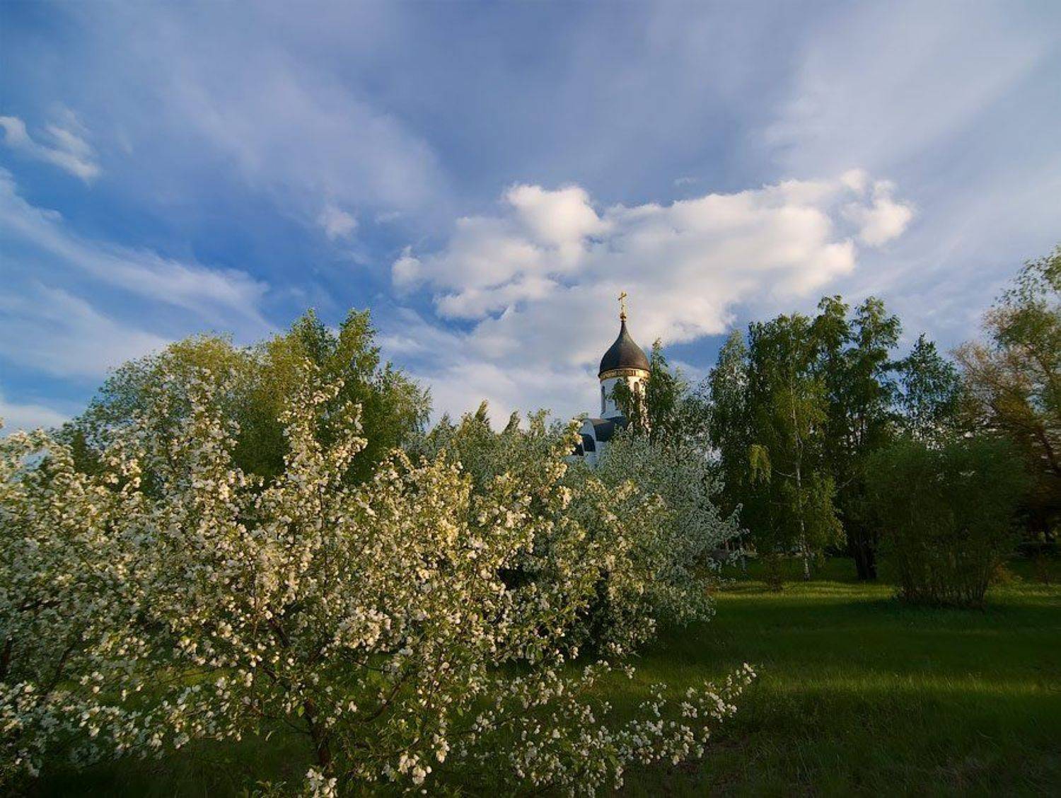 , Дмитрий Милосердов