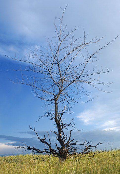 , Юрий Охлопков