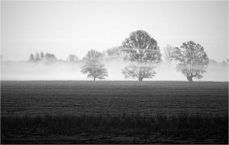 куяшкино, башкирия, река, белая Театр тумана фото превью
