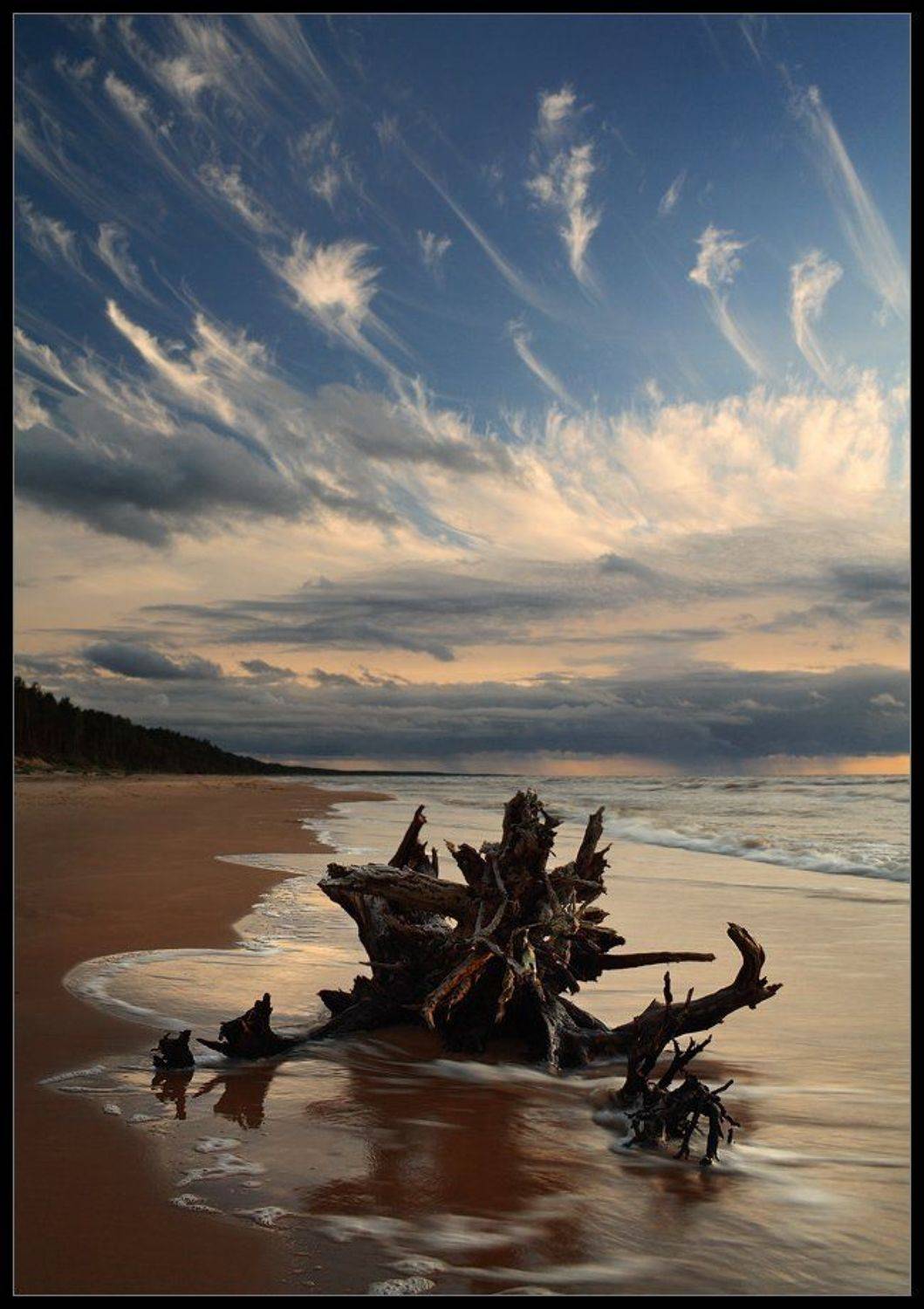 коряга, облака, море, вечер, Karlis Keisters