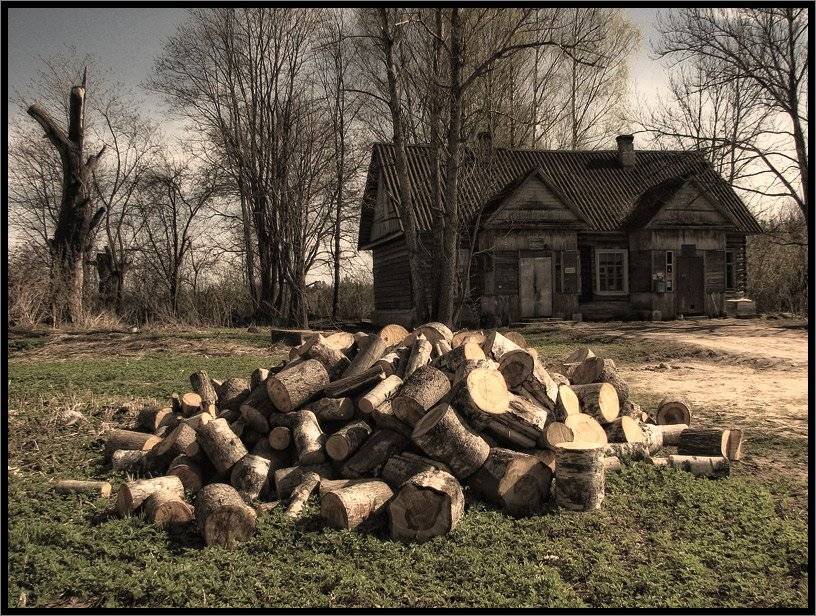 , Лунный Ежик