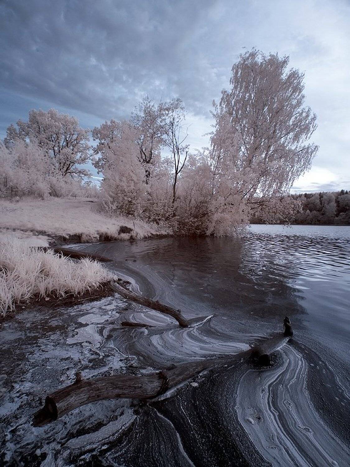 , Максим Евдокимов