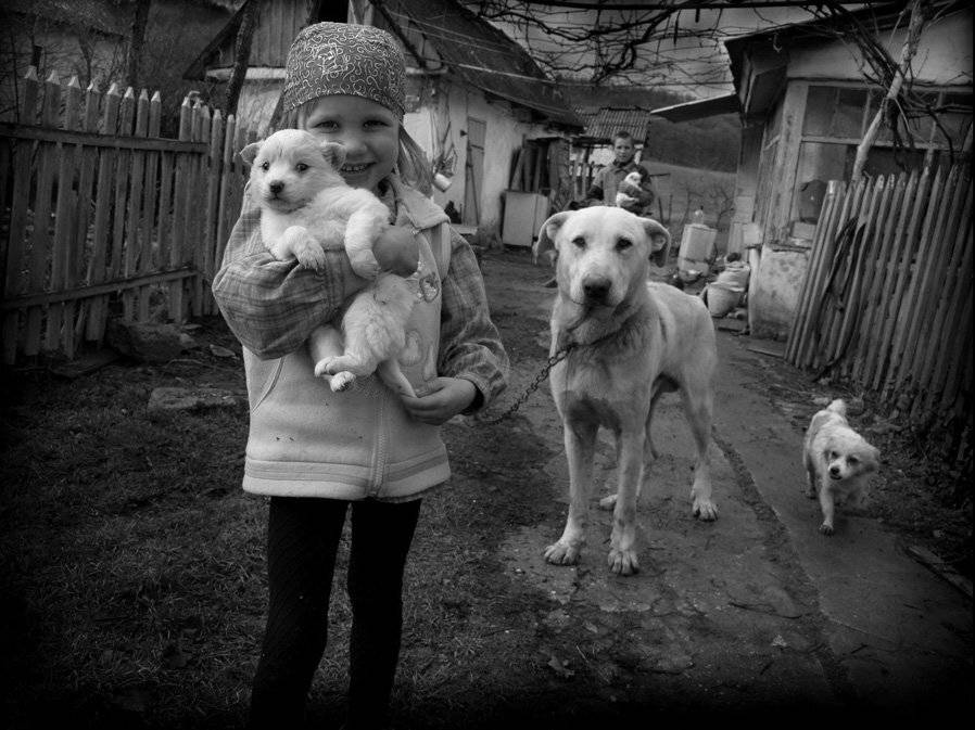 , ВИТАЛИКЪ ФОМЕНКО