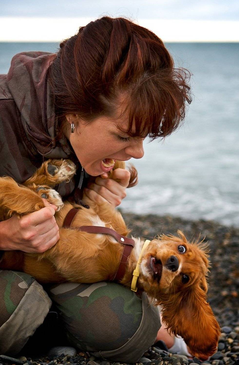 собака, море, портрет, Евгений Васенёв