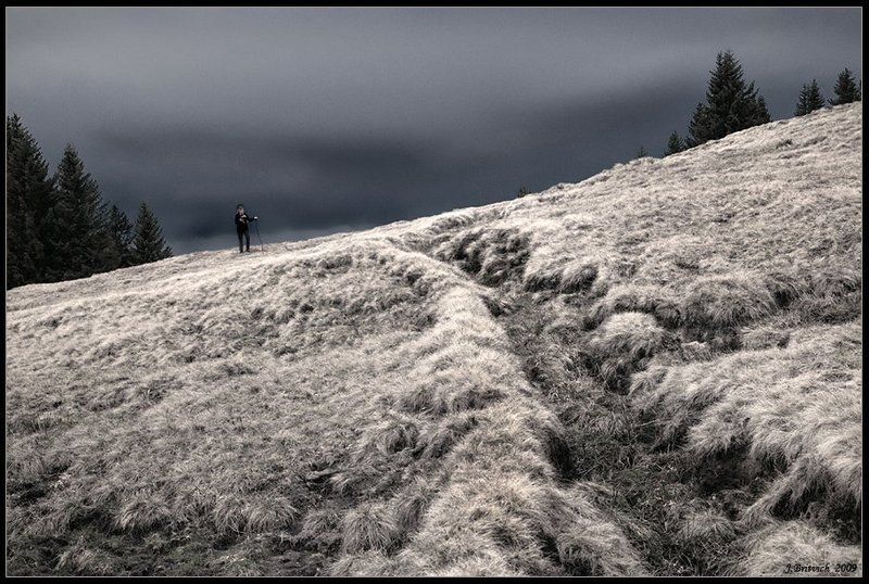 Кукла потерялась фото превью