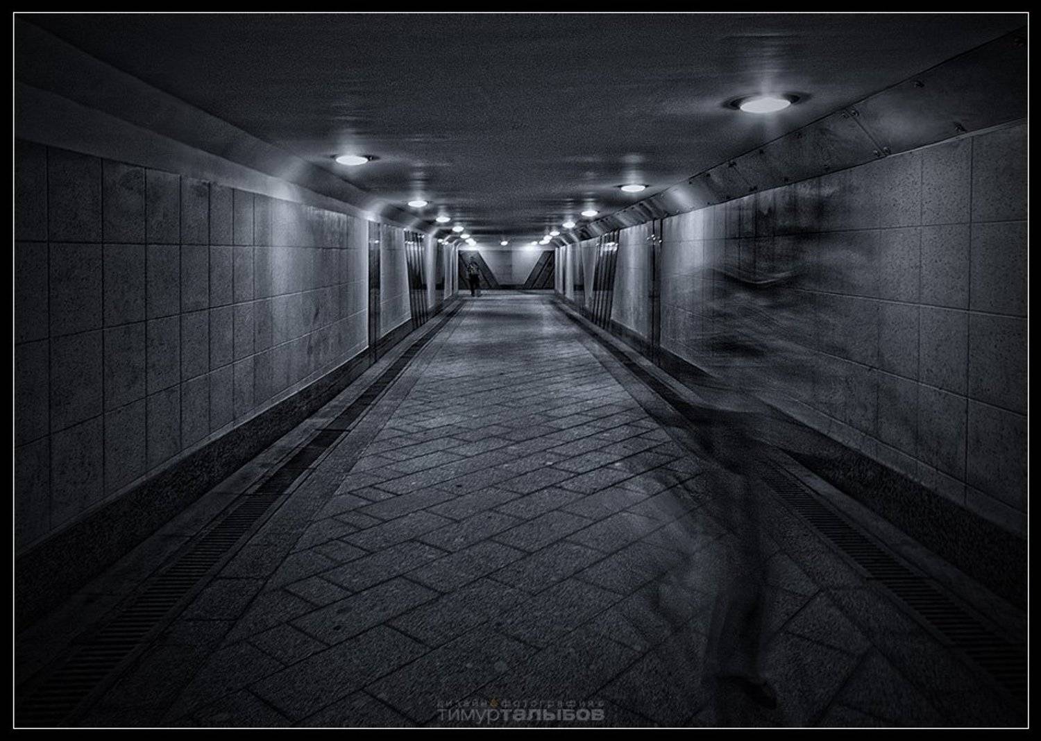 , Тимур Талыбов