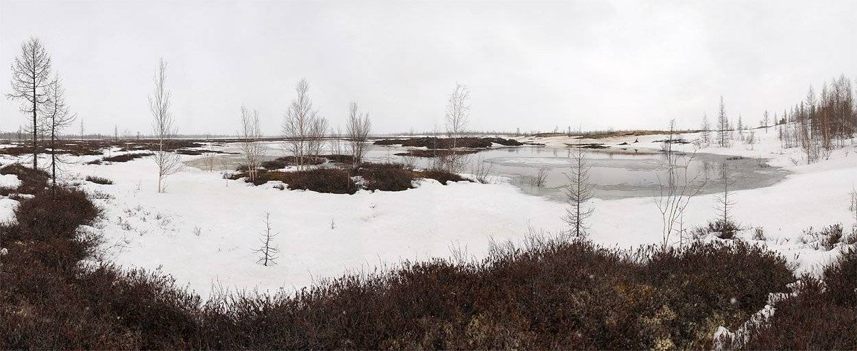 панорама, природа, весна, непогода, Danil Husainov