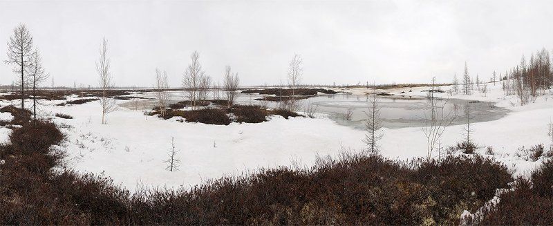 панорама, природа, весна, непогода последний день весны фото превью