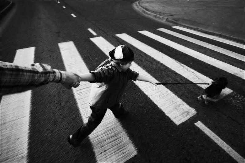 Переходня чб картинка с рукой, собакой и девочкой в берете фото превью