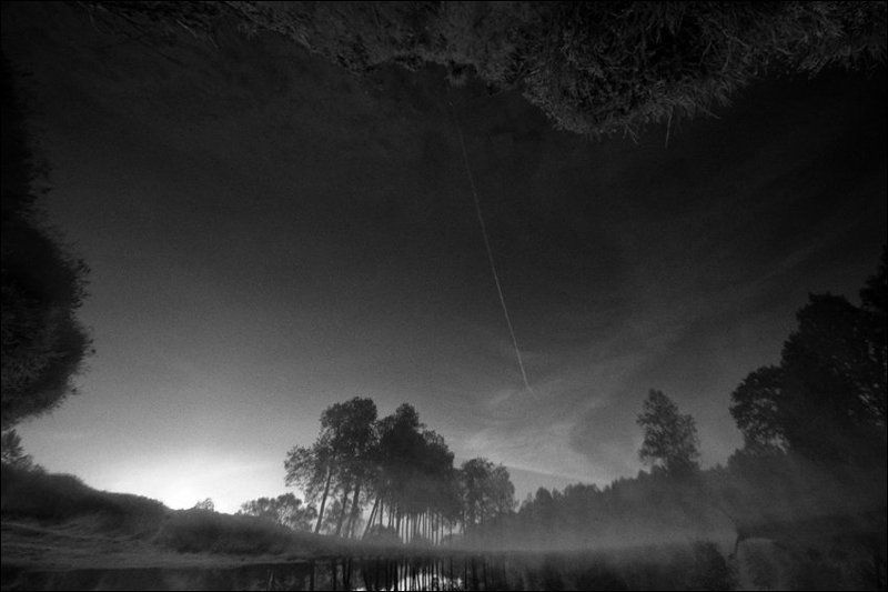 Утренняя чб картинка с отражением инверсионного следа и лип в середниковском пруду фото превью