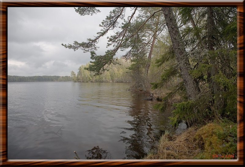 подпорожье, ленинградская обл., пейзаж Подпорожье (Ленинградская обл.) фото превью