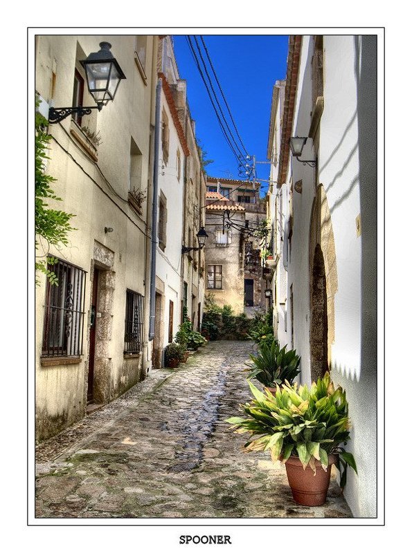 * * * фото превью