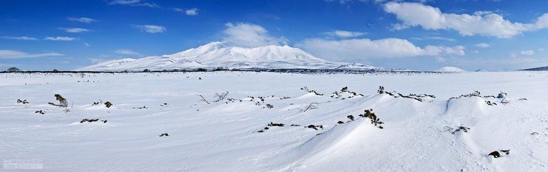 камчатка, юг, весна, асача На перевале Звериный фото превью