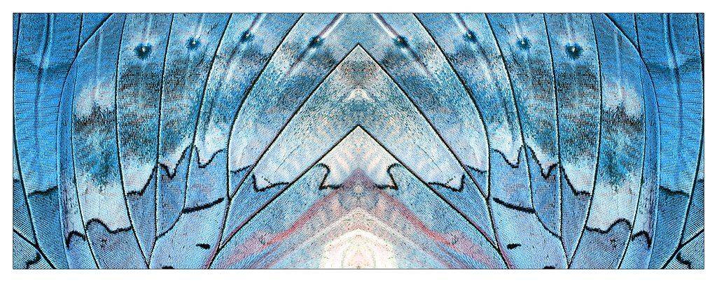 , Нарчук Андрей