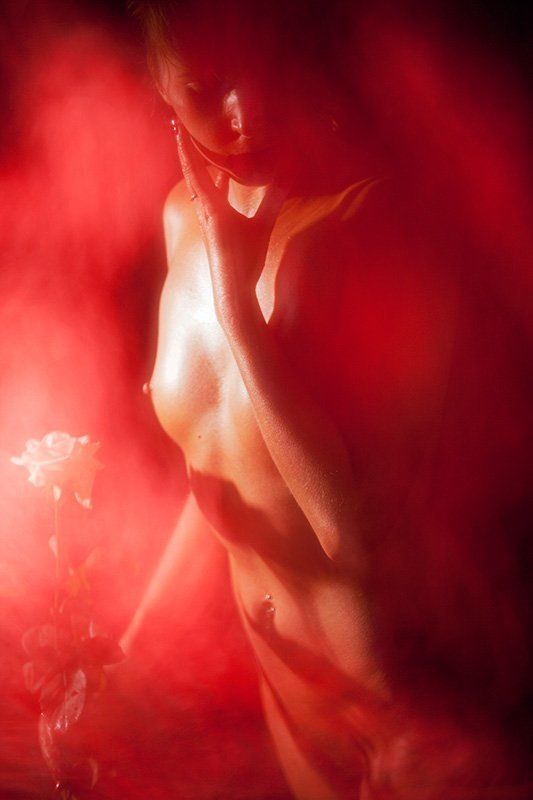 Роза фото превью