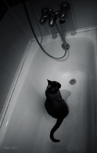 Опять отключили воду...