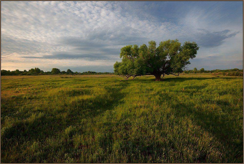 , izh Diletant (Валерий Щербина)