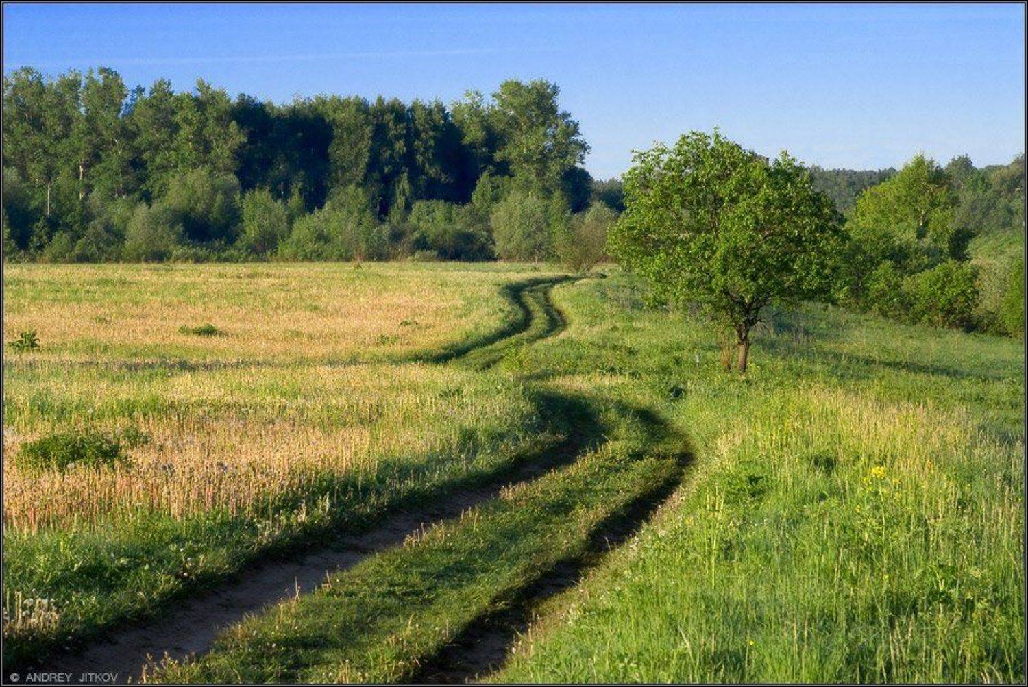 пейзаж, Андрей Житков