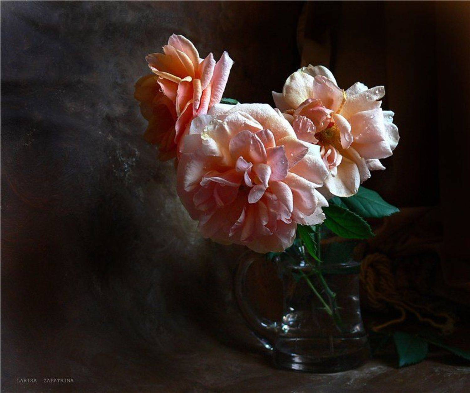 , Лариса Запатрина