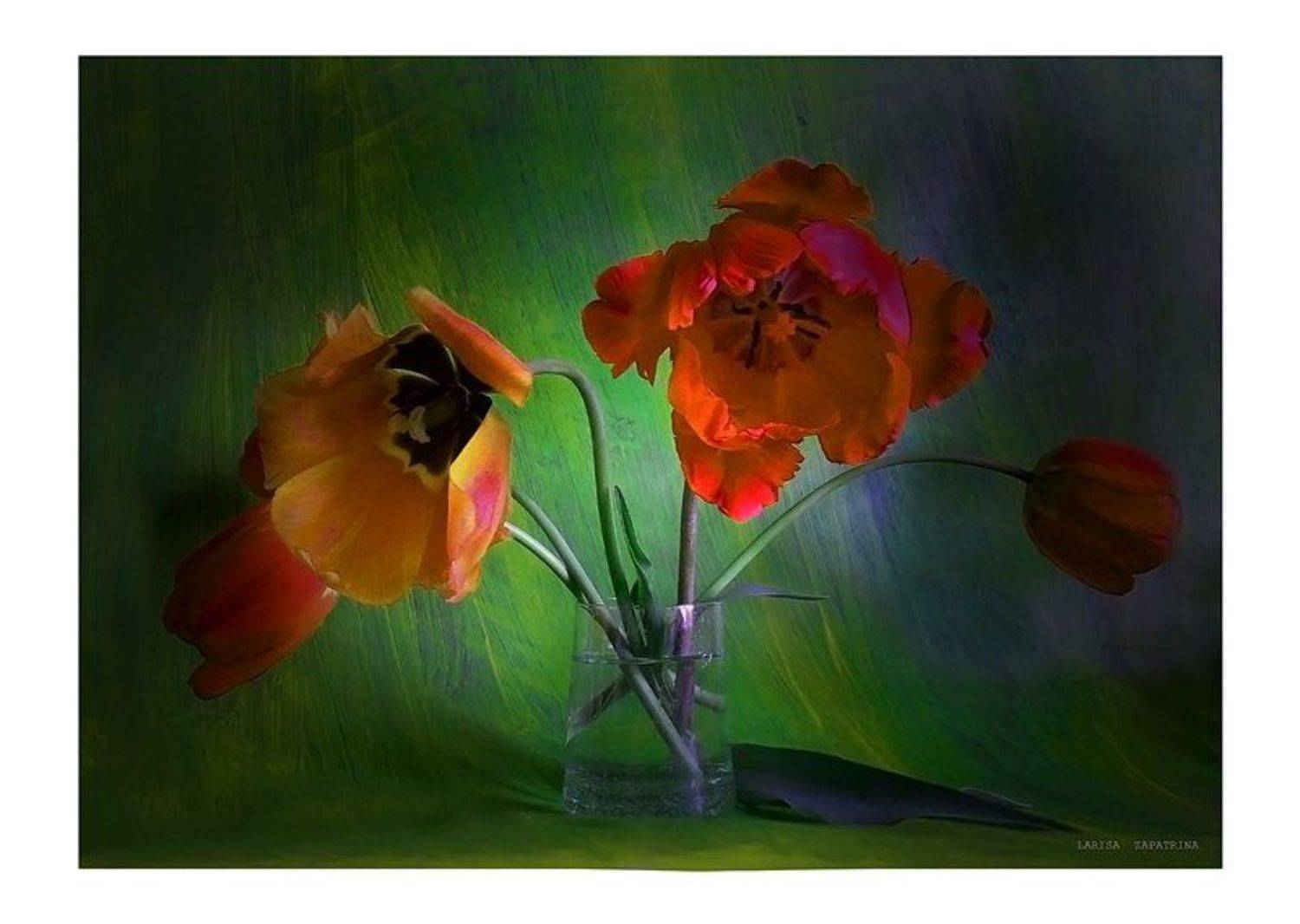 , Лариса Запатрина