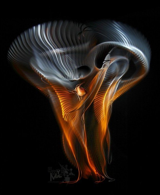 Сердце (Светографика - Витые сдвиги 2009 ) фото превью