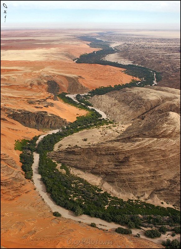 дюны, пустыня намиб, намибия, африка, dunes, namib desert, namibia, africa Песок, камень и жизнь между ними... фото превью
