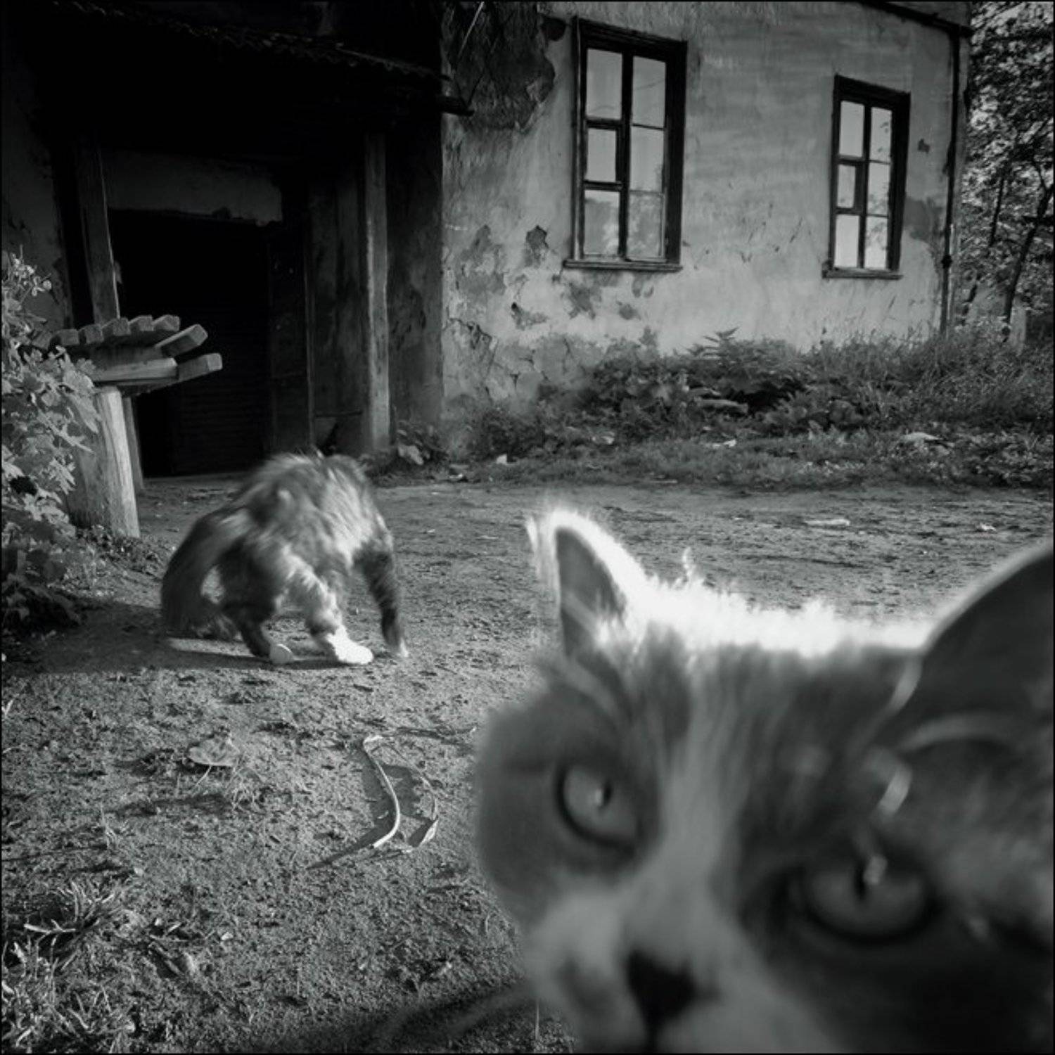 , Сергей Чубаров