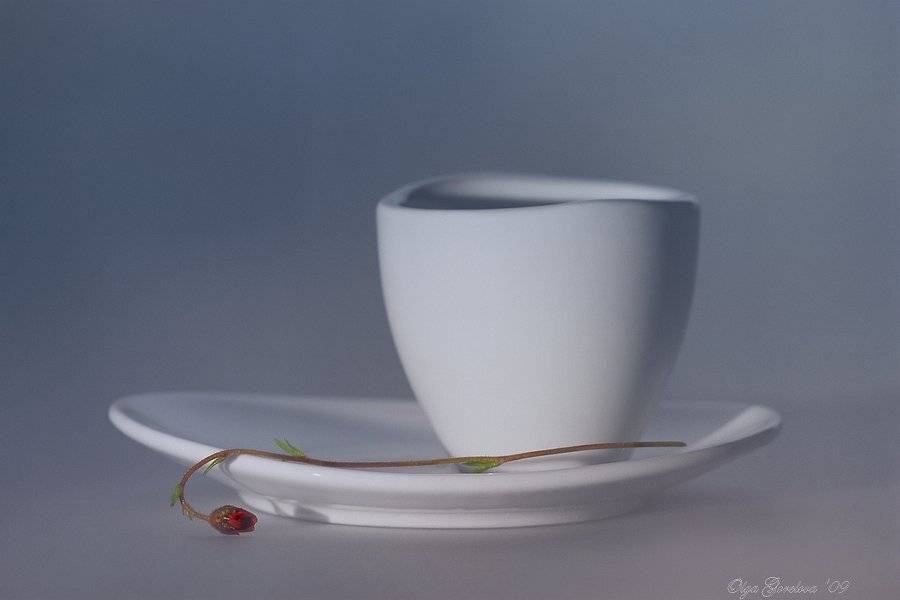 фото, натюрморт, бутон, камнеломка, цветы, Ольга Горелова