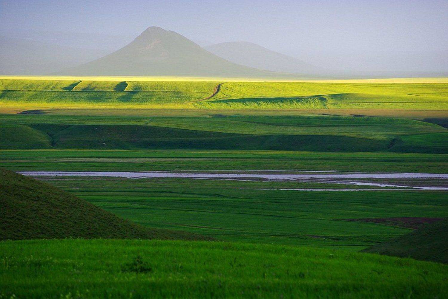 , Андрей Веретенников