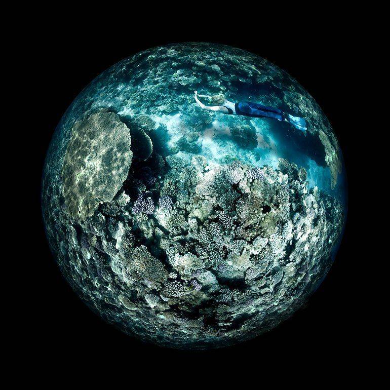 циркуляр, коралл, Сергей Шанин