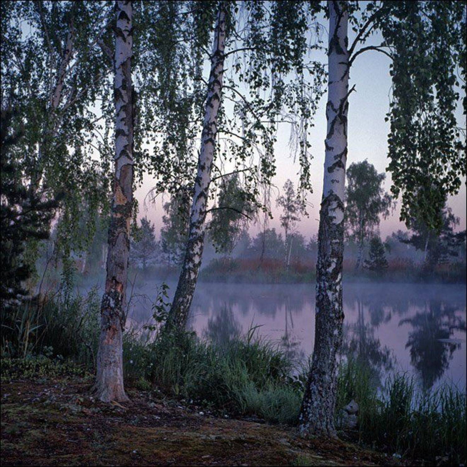 , Сергей Чубаров