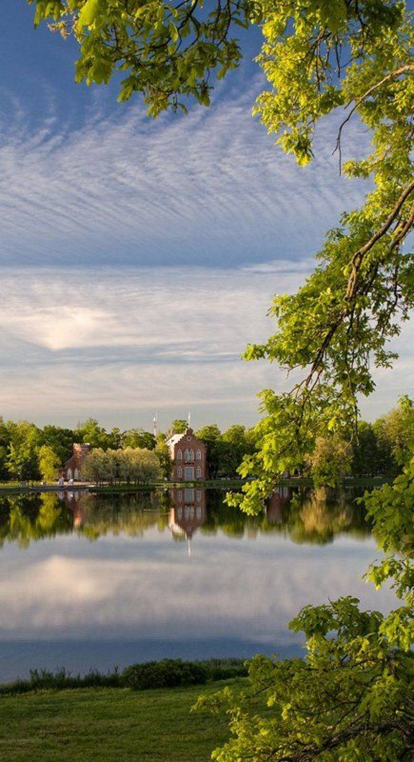 , Александр Петренко