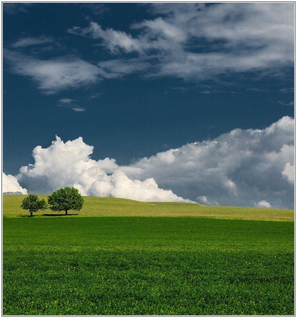 , izh Diletant (Валерий Щербина)