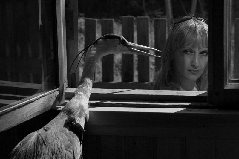 бросаю желанье быть нужной... фото превью