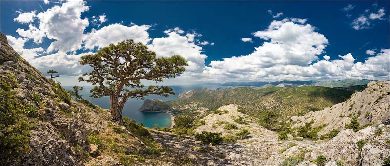 новый свет, крым, панорама, пейзаж, 2009, горы, море Новый свет фото превью