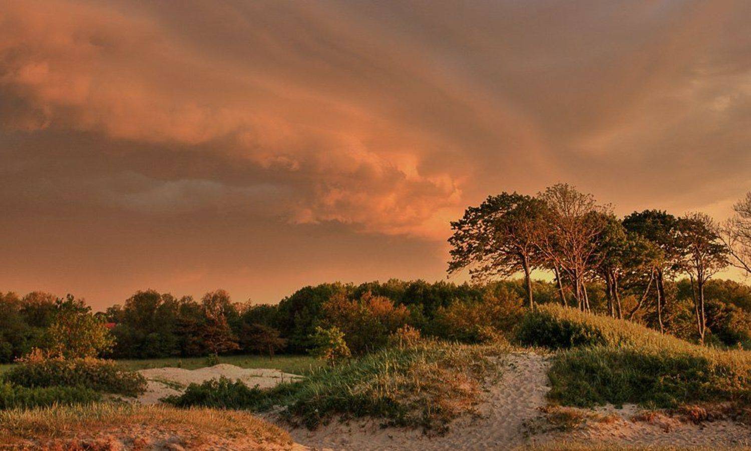 , Павел Дунюшкин