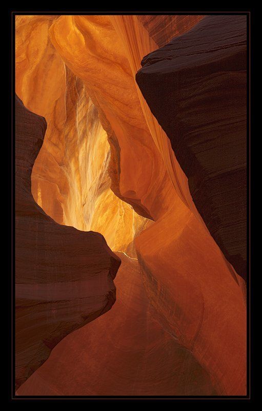 Сердце Прометея фото превью