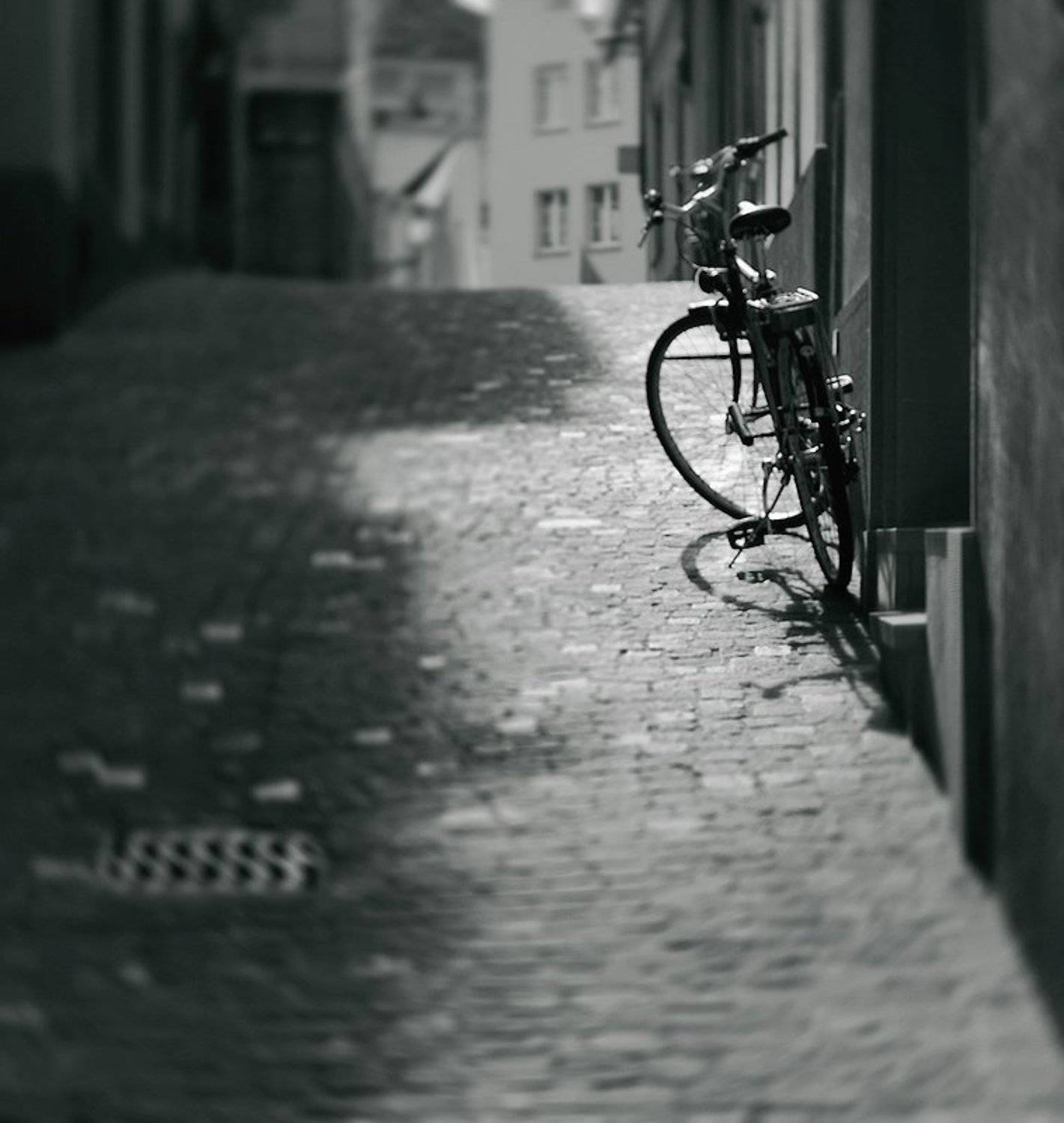 , Булавина Дарья