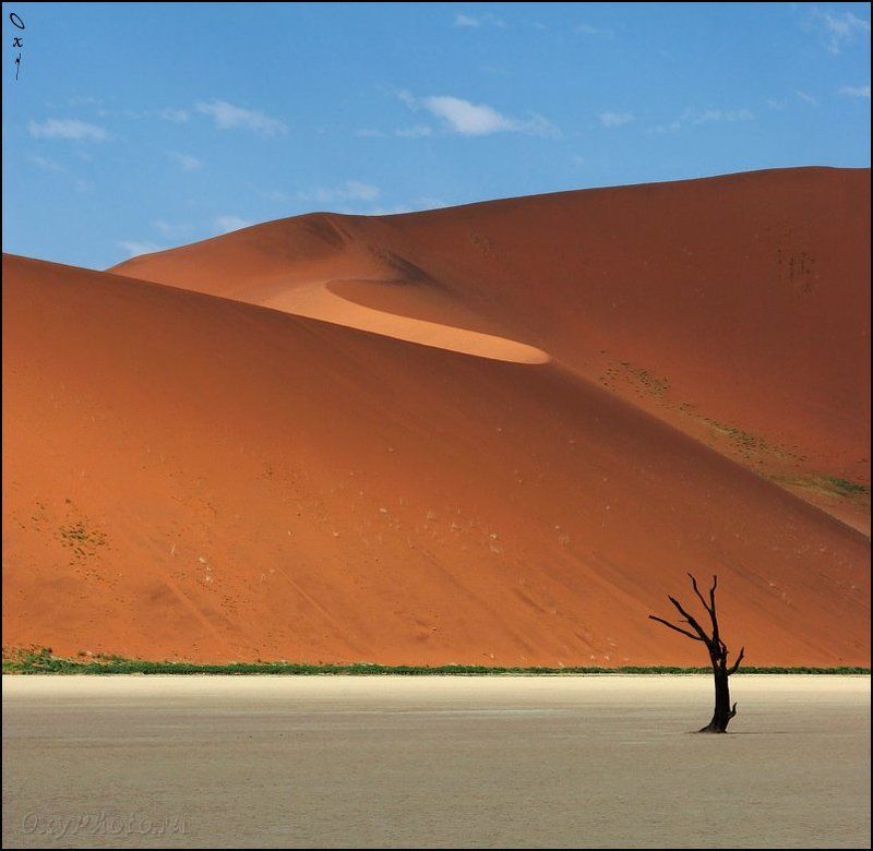 дюны, соссусвлеи, пустыня намиб, намибия, африка, dunes, sossusvlei, namib desert, namibia, africa После жизни... фото превью